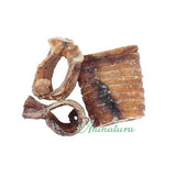 Traquea de vacuno Aninatura