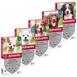 Advantix pipetas