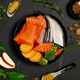 Canagan Salmón y arenque 400g