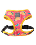 Arnés Rad (FuzzYard)