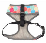 Arnés The Hive (FuzzYard)