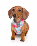 Arnés The Hive (FuzzYard)