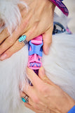 Non-Stop Dogwear Line Harness 5.0 Rachel Pohl Edition Purlple/Pink