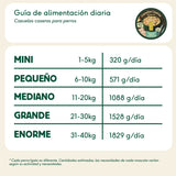 Wild Balance Cazuela Boqueron Pavo y Manzana