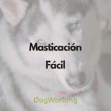 Pack Masticación Navidad Fácil