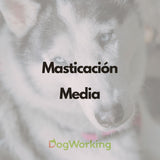 Pack Masticación Navidad Media