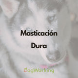 Pack Masticación Navidad Duro