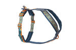 Non-Stop Dogwear Line Harness 5.0 Rachel Pohl Edition Teal/oak