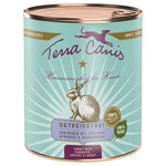 Terra canis Grain Free Conejo con calabacin