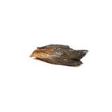 Cola de Salmon