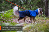 Chubasquero Non-stop Dogwear Fjord Raincoat T50