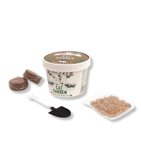 Kit Cultivo Catnip