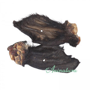 Oreja de vacuno con pelo