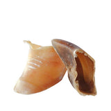 Pezuña de ternera XL