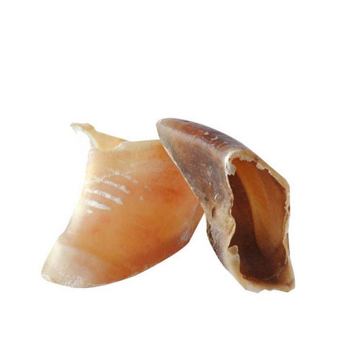 Pezuña de ternera XL